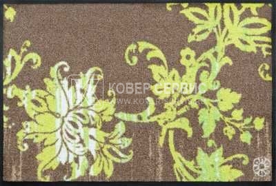 Коврик для дома wash+dry Elisa taupe 115x175