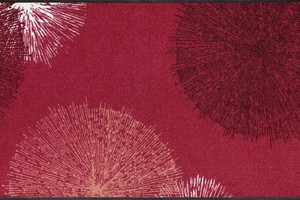 Коврик для дома wash+dry Firework red 75x120