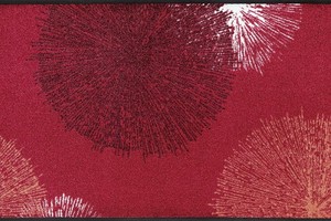 Коврик для дома wash+dry Firework red 60x180