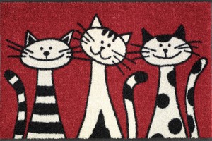 Коврик для дома wash+dry Three Cats 50x75